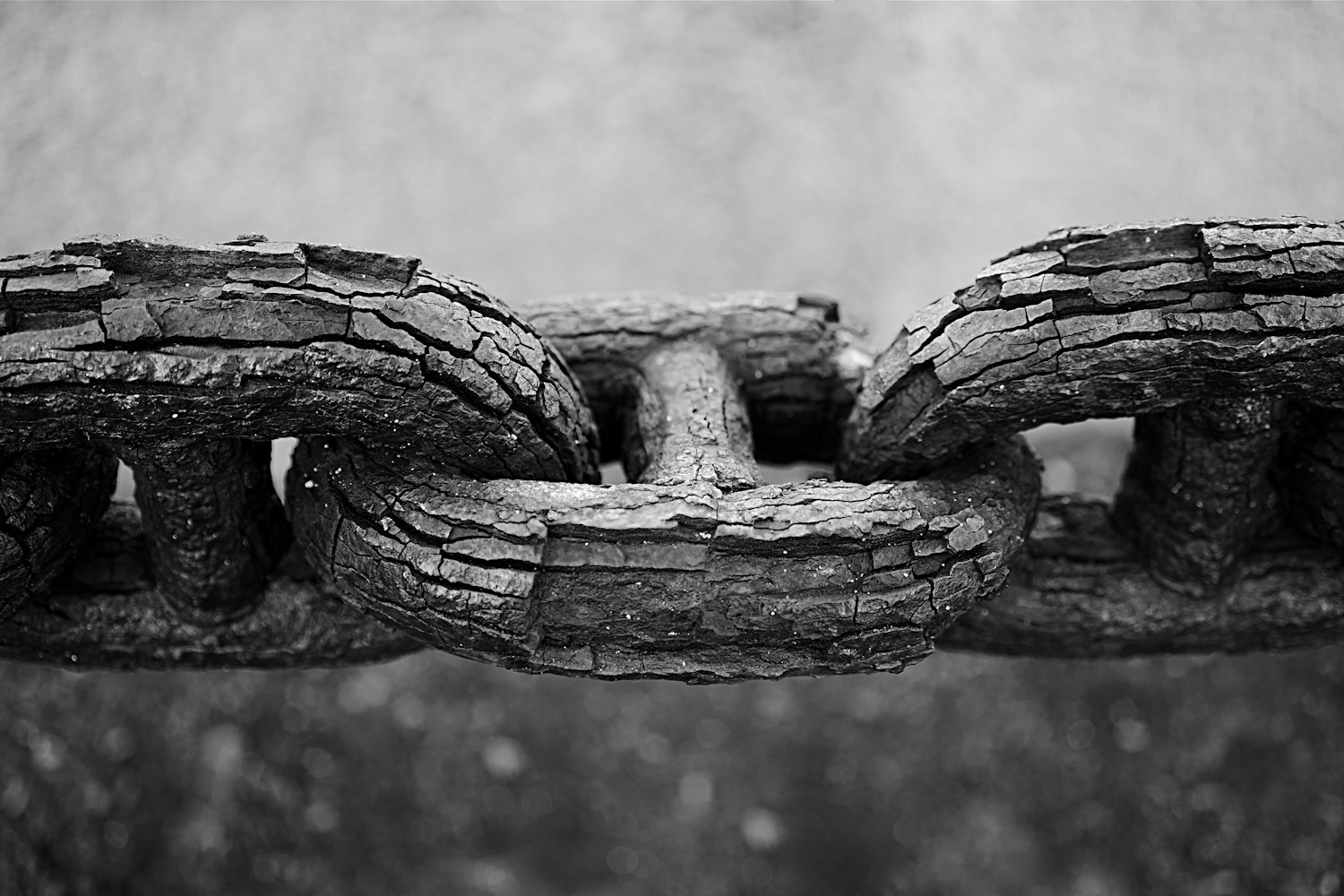 遂寧國開區(qū)人事任命動(dòng)態(tài),構(gòu)建新時(shí)代的卓越團(tuán)隊(duì)為核心力量