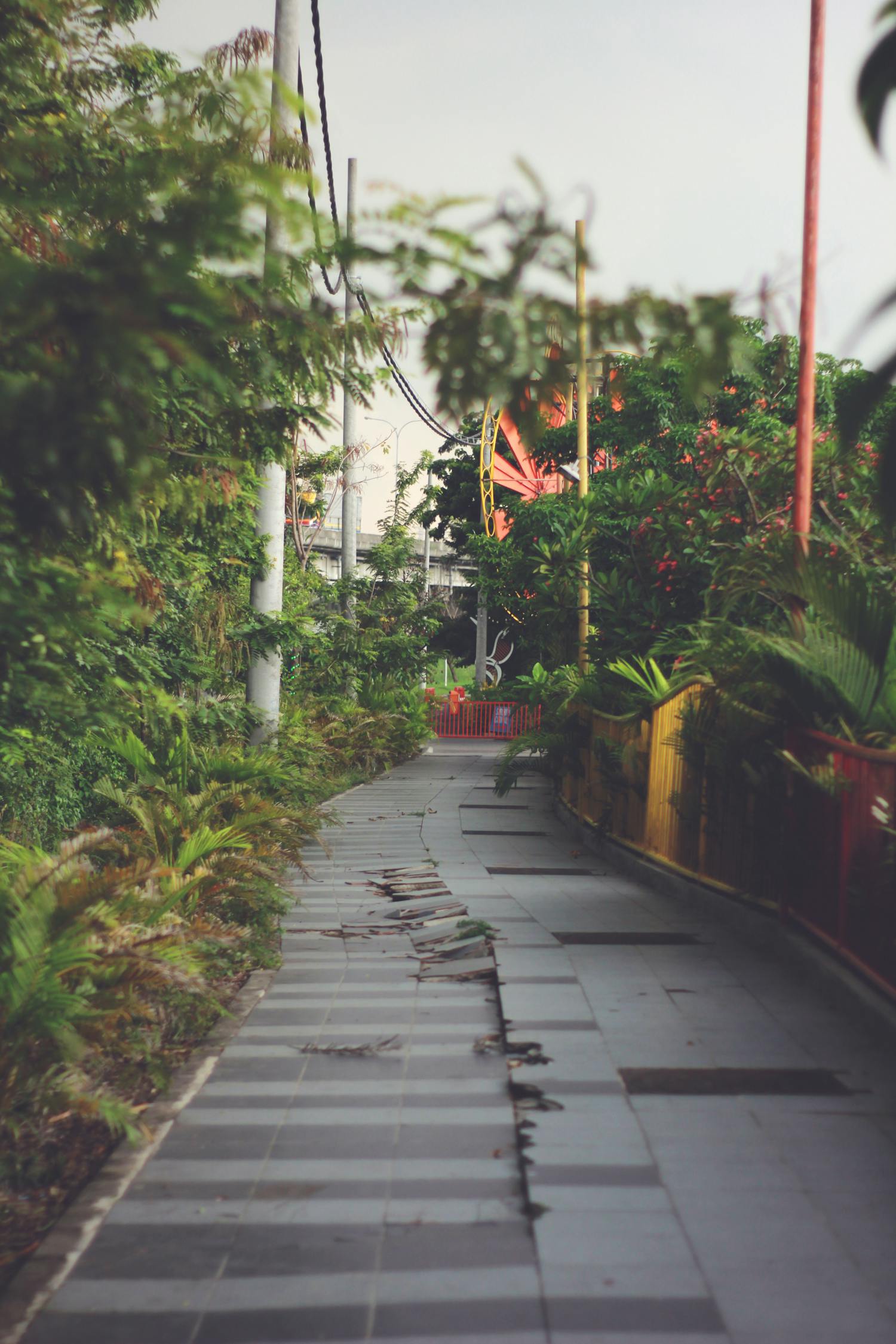 東方園林上市之路,探索企業(yè)成長與市場機遇