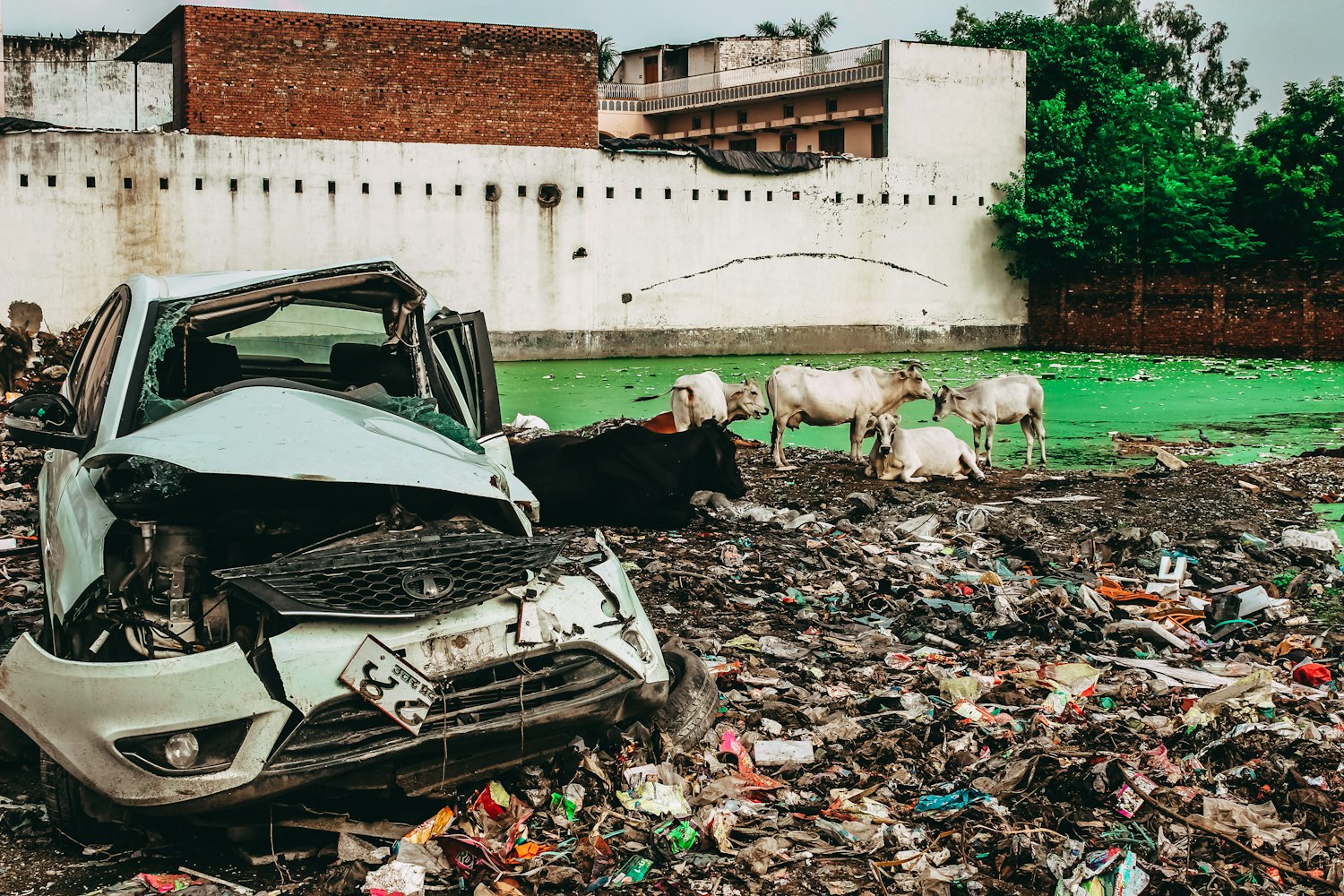 大城縣限號最新通知,有效應(yīng)對交通擁堵與環(huán)境污染的措施