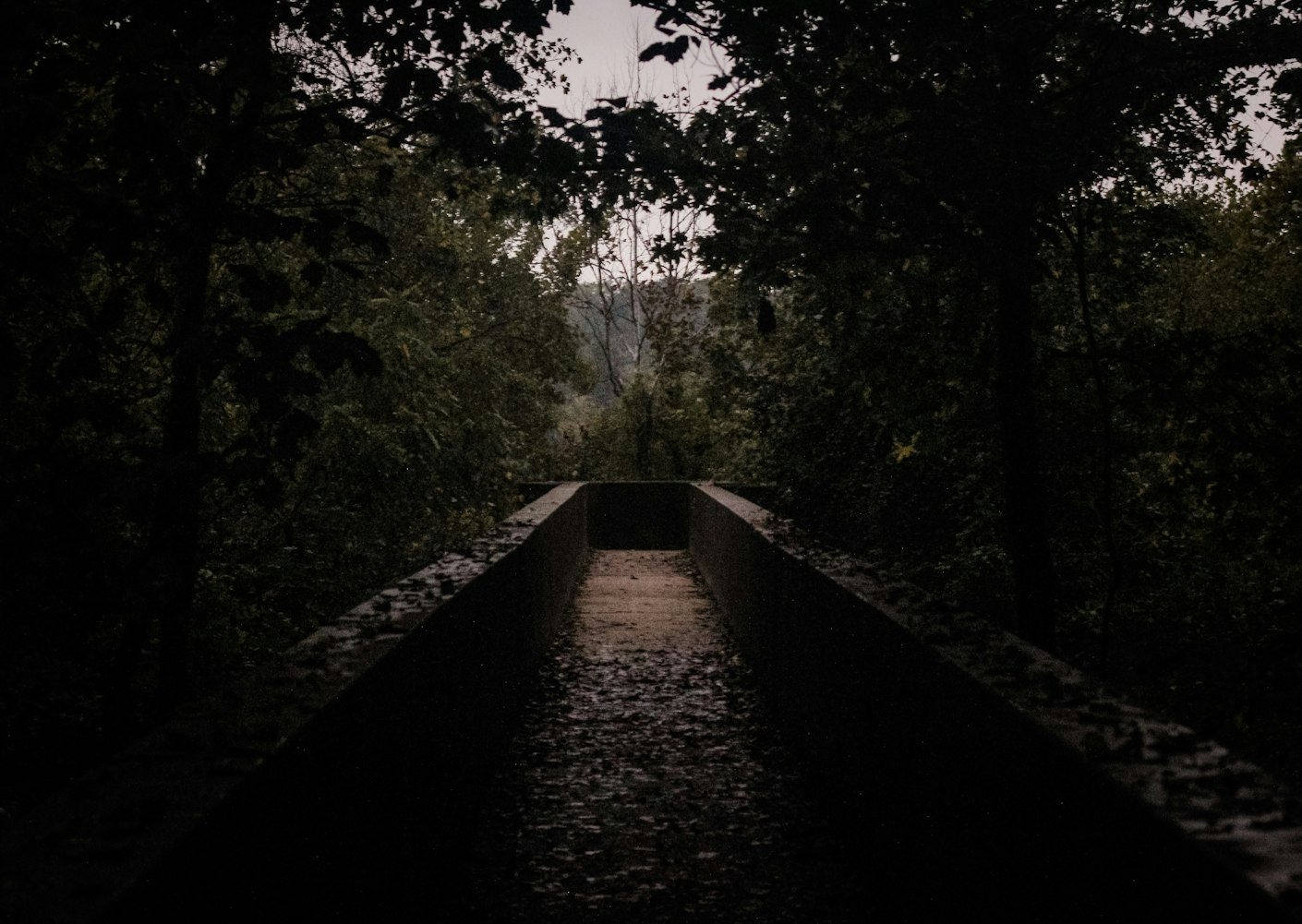 驚悚幻想之旅,深入恐怖動(dòng)漫電影的交織世界