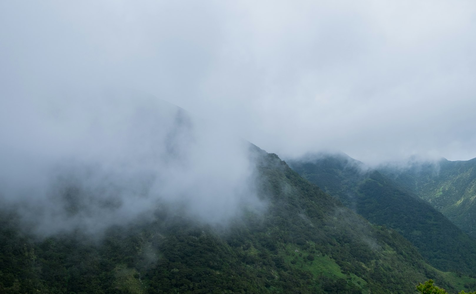 松果兒人體最新動(dòng)態(tài)揭秘,探索人體科學(xué)的奧秘與前沿進(jìn)展新發(fā)現(xiàn)