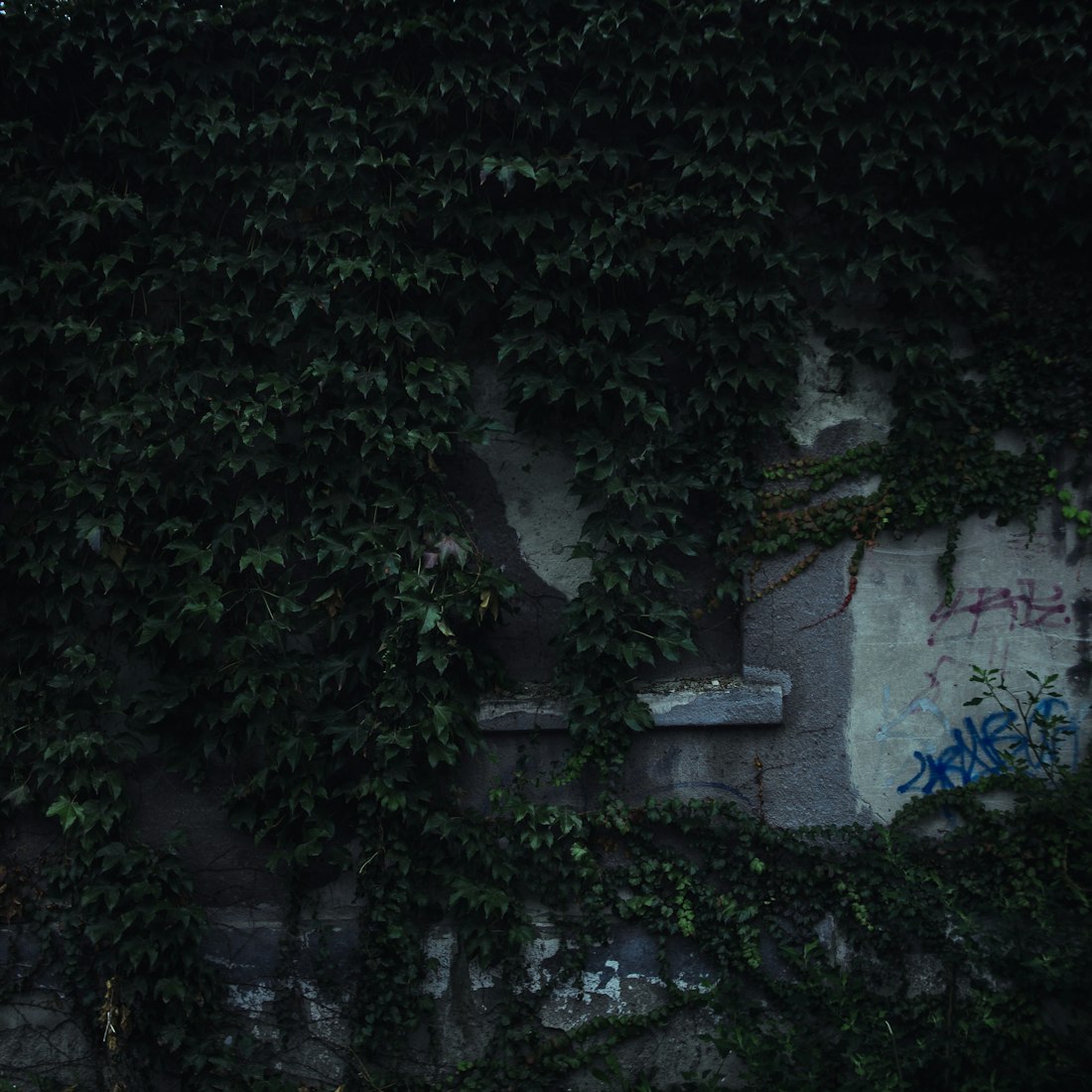 越南打野比賽,激情與技術(shù)的碰撞對(duì)決