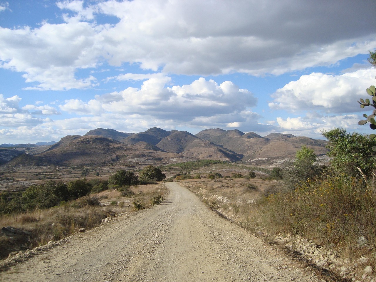 全球視野下的最新十三臺(tái)風(fēng)動(dòng)態(tài)及路徑影響分析