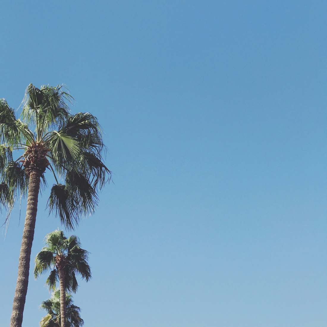 東光縣縣域經(jīng)濟(jì)蓬勃發(fā)展,最新動態(tài)揭示新引擎