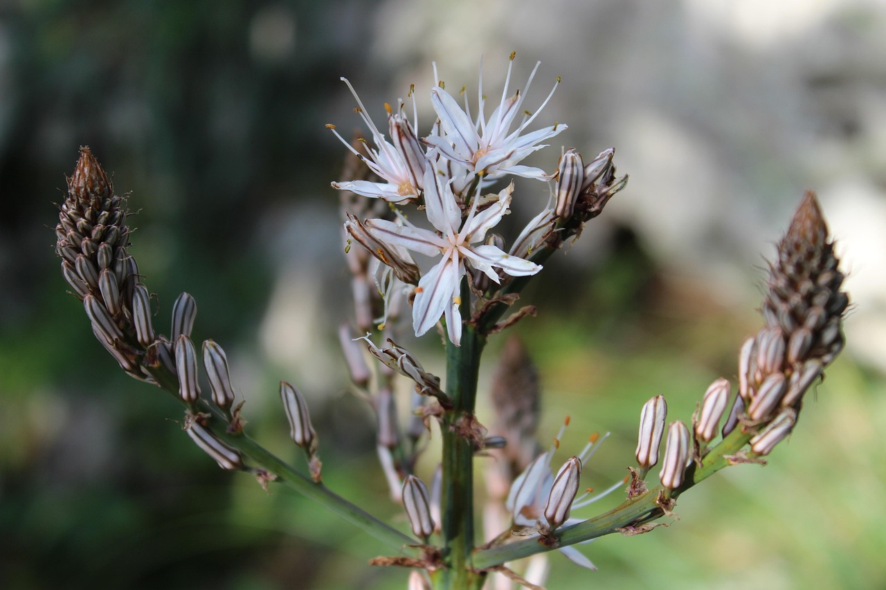 鞍鋼貼吧最新動態(tài)全面解析與探討