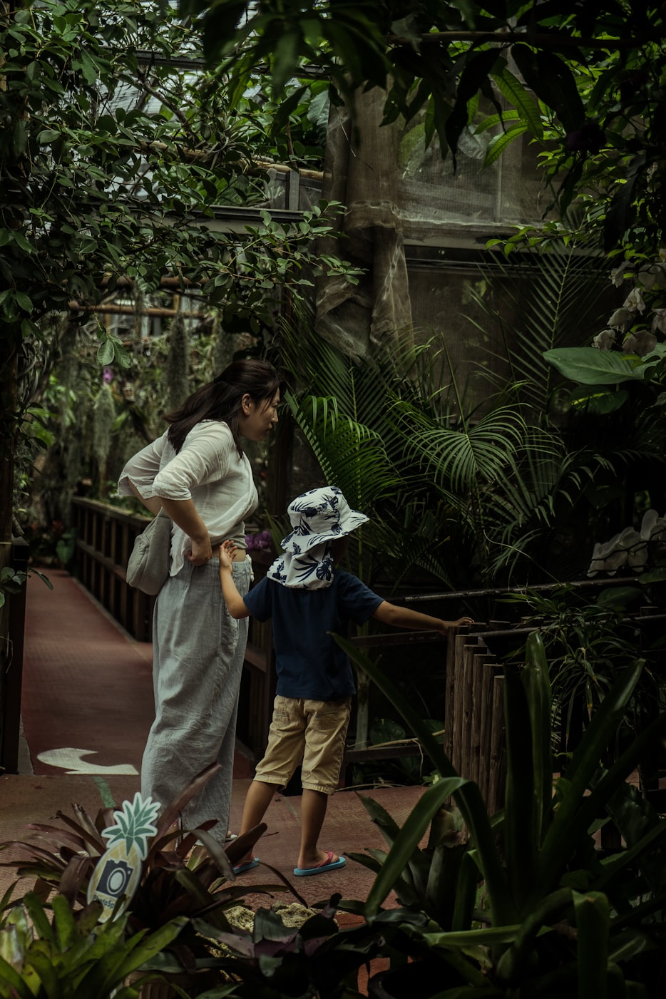 電影小唐璜情史,情感探索與人性展現(xiàn)的浪漫之旅