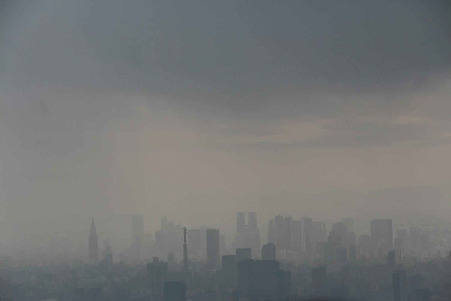 葉天南最新力作，探索未知領(lǐng)域的文學(xué)魅力之旅