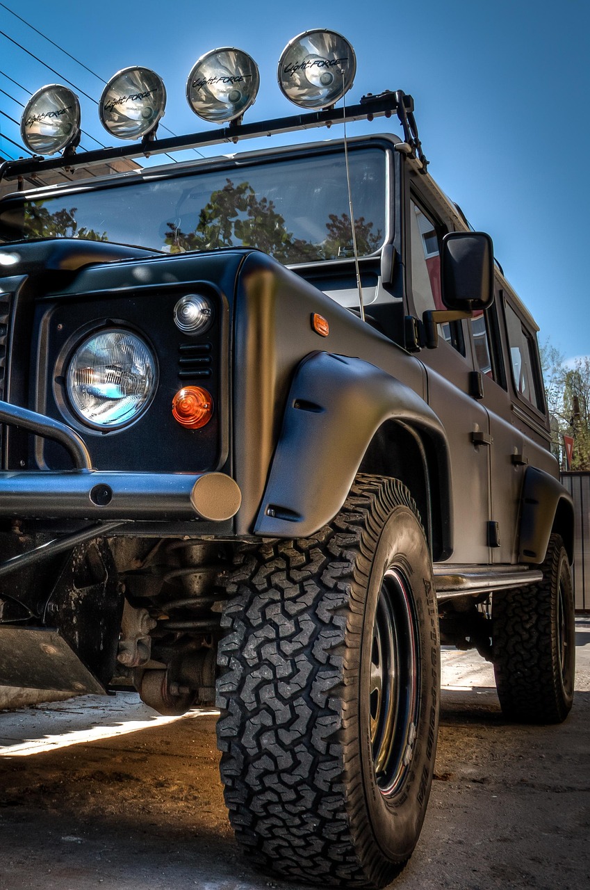 澳門最新動(dòng)態(tài)，城市繁榮與進(jìn)步的最新進(jìn)展