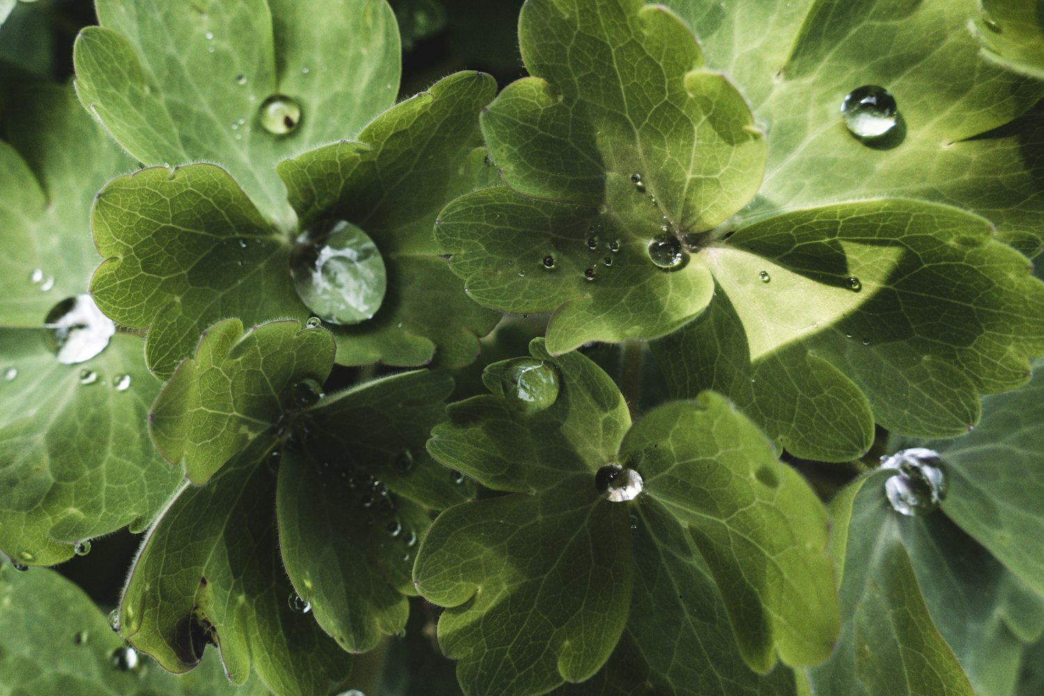 婚訂資訊速遞，探索現(xiàn)代婚禮最新動(dòng)態(tài)與必備知識(shí)