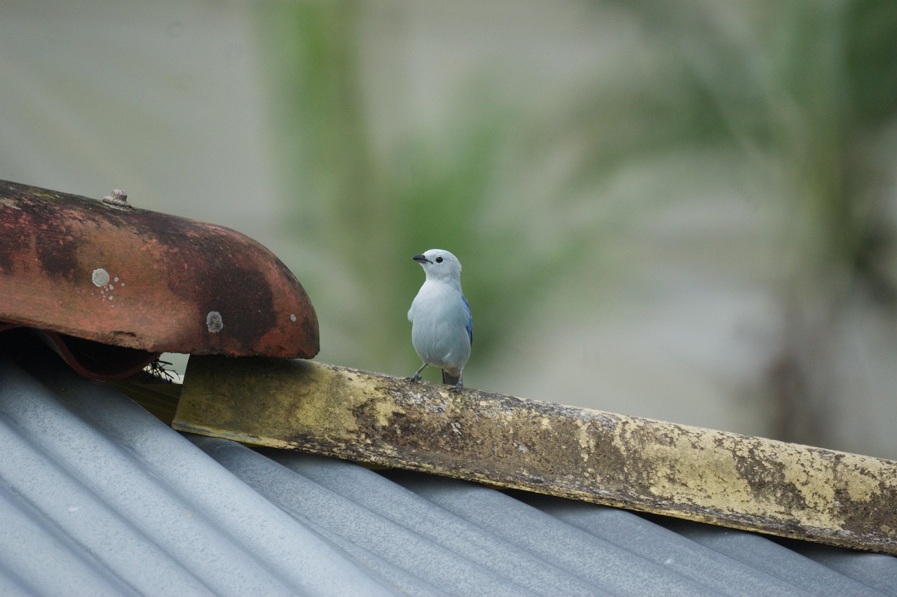 今日股票行情深度分析與實(shí)時動態(tài)查詢
